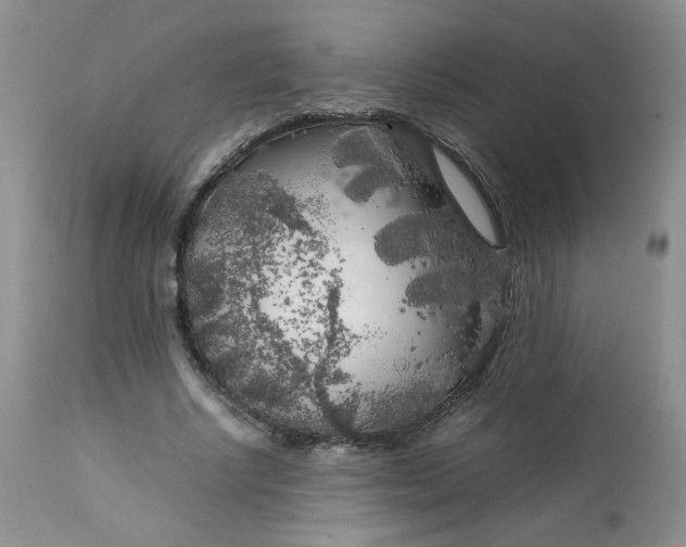 X0000112750634200909101541