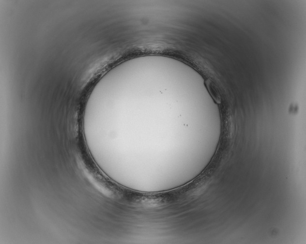 X0000112750638200909101541