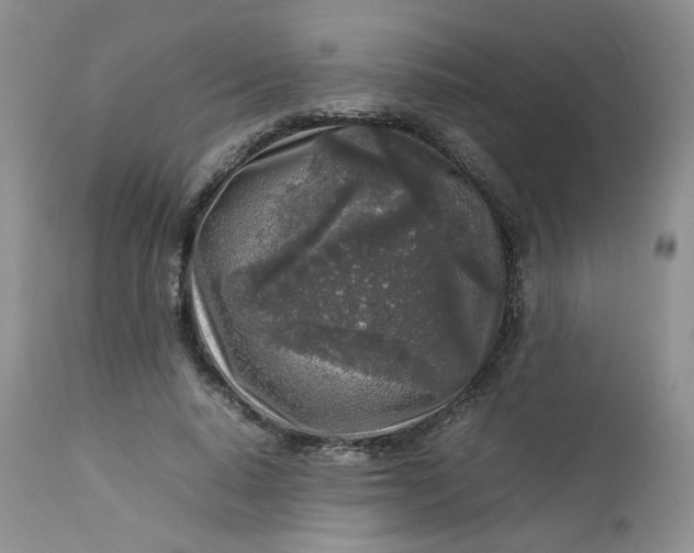 X0000112750640200909101541