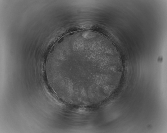 X0000112750641200909101541