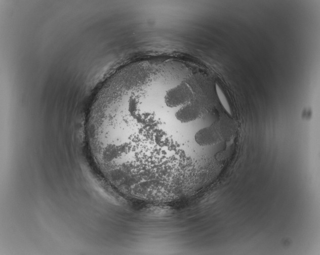 X0000112750642200909101541