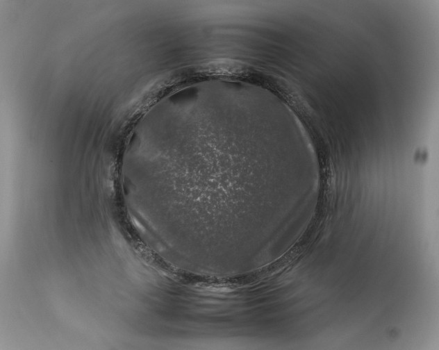 X0000112750643200909101541