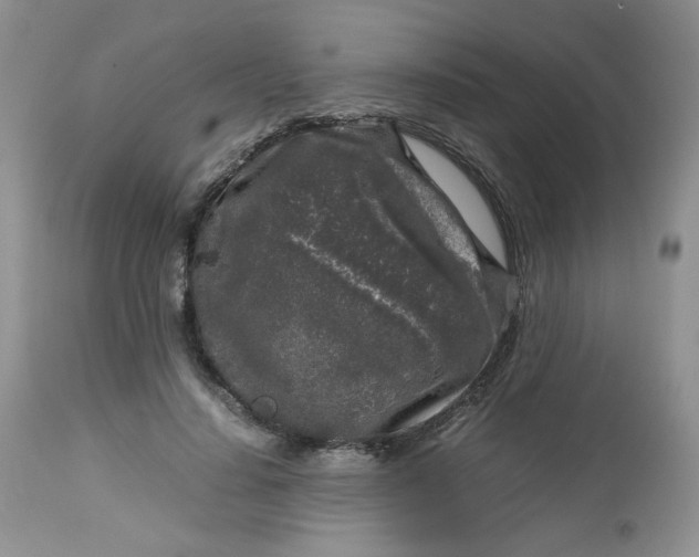 X0000112750644200909101541