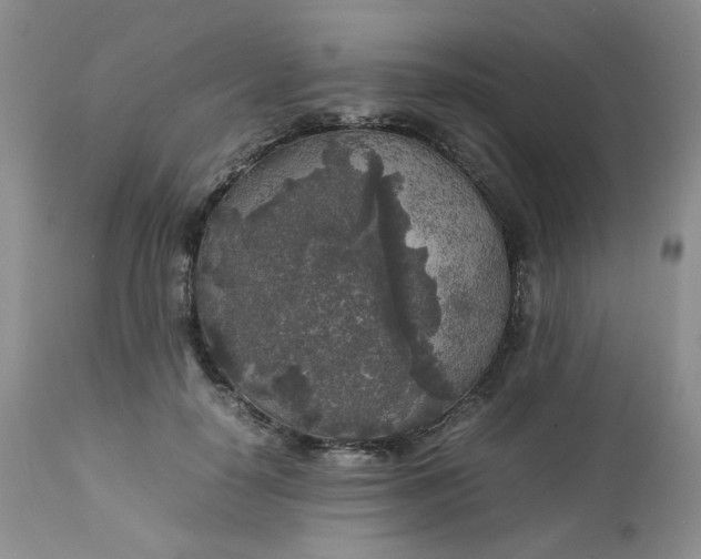 X0000112750650200909101541