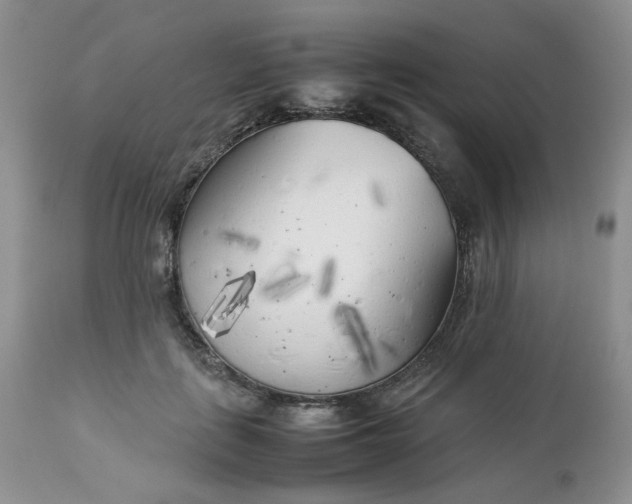 X0000112750651200909101541