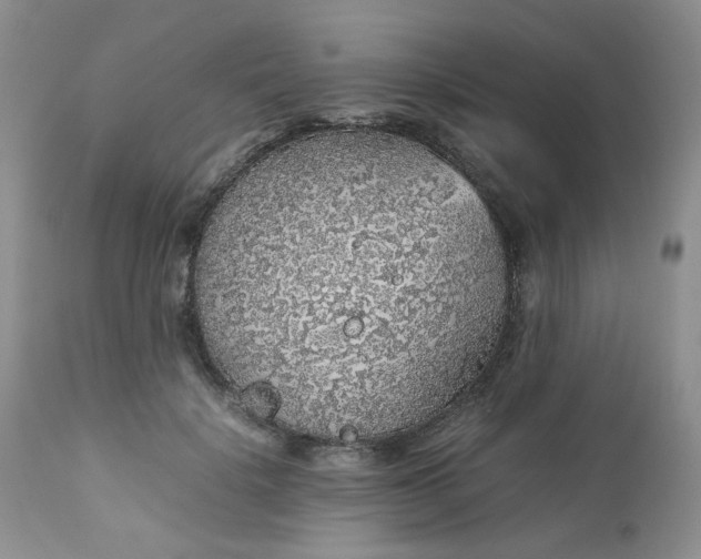 X0000112750652200909101541