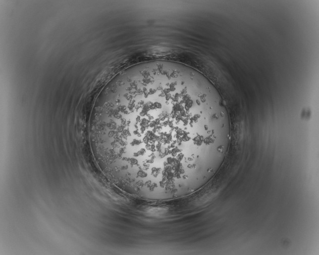 X0000112750653200909101541