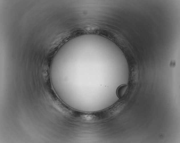 X0000112750654200909101541