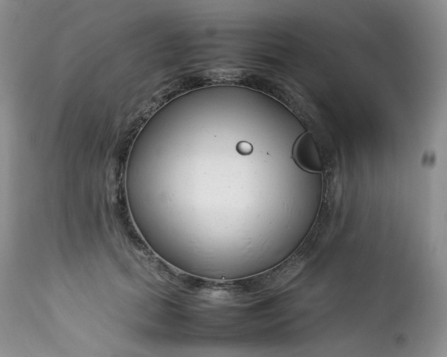 X0000112750655200909101541