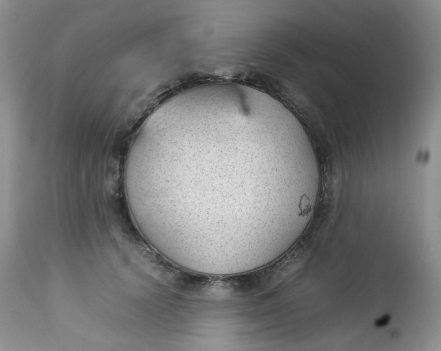 X0000112750656200909101541