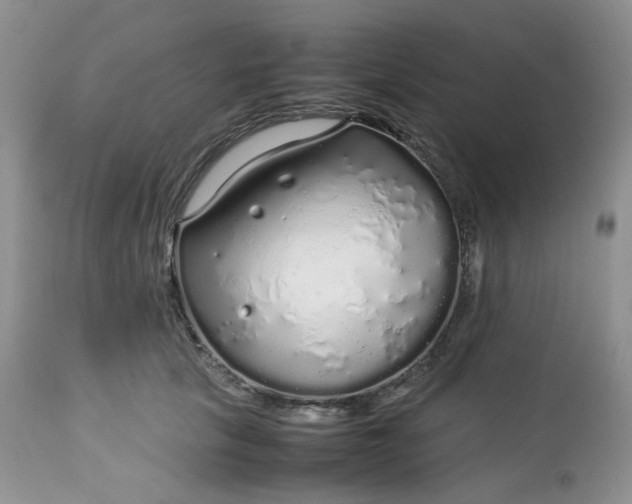 X0000112750657200909101541