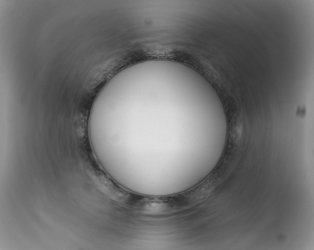 X0000112750658200909101541