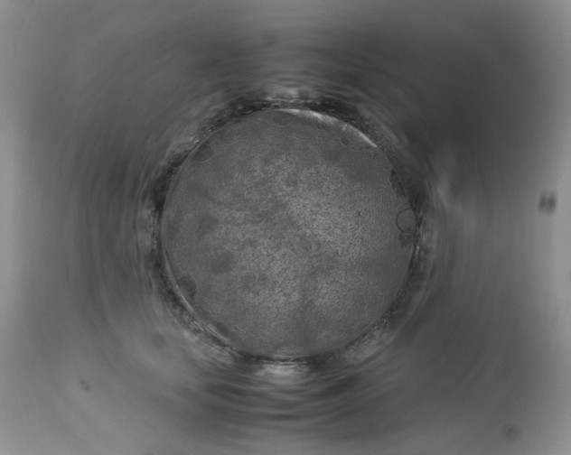 X0000112750659200909101541