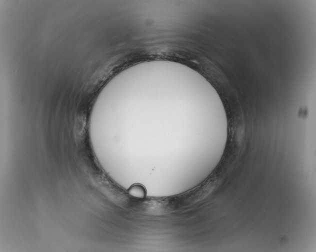 X0000112750660200909101541