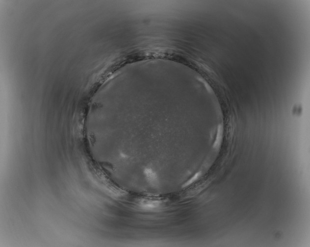 X0000112750661200909101541