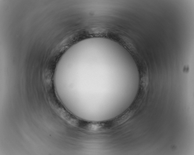 X0000112750662200909101541