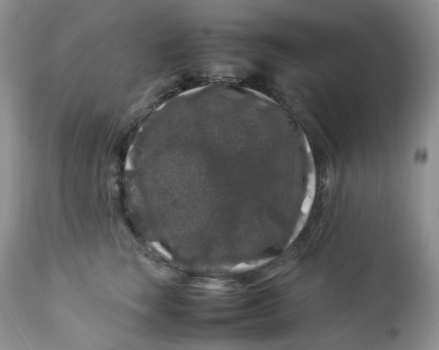 X0000112750663200909101541