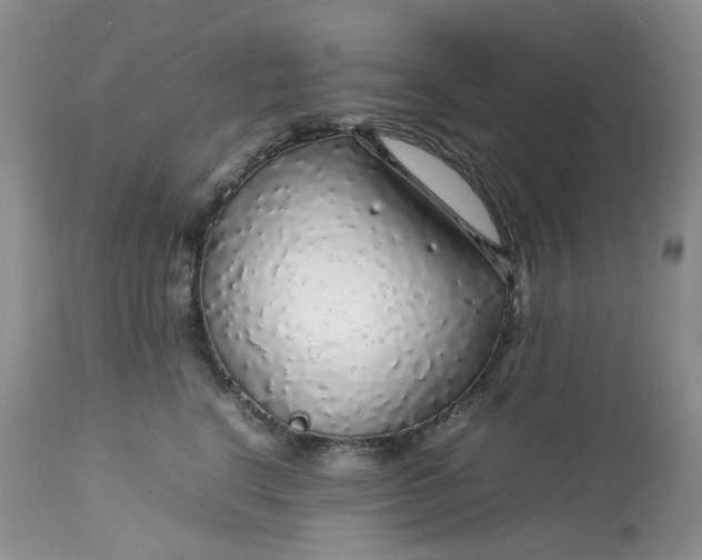 X0000112750664200909101541