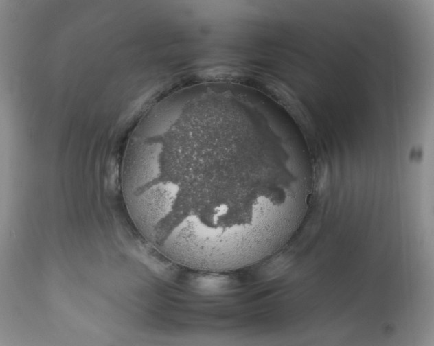 X0000112750669200909101541