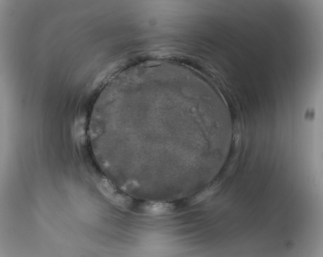 X0000112750670200909101541