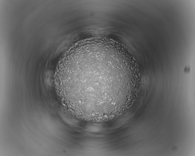 X0000112750671200909101541