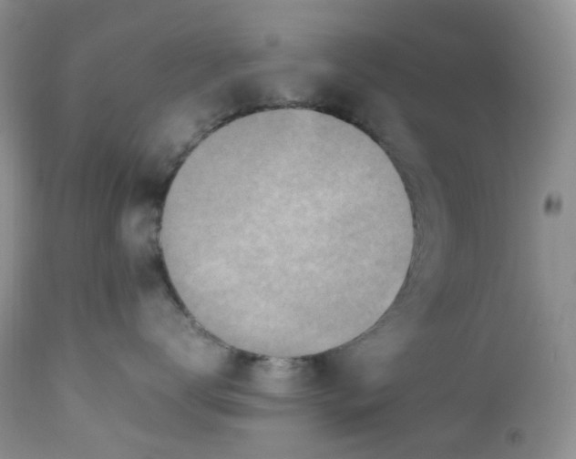 X0000112750672200909101541