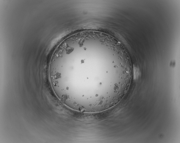 X0000112750675200909101540