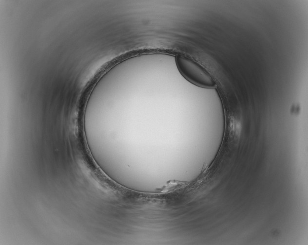 X0000112750676200909101540