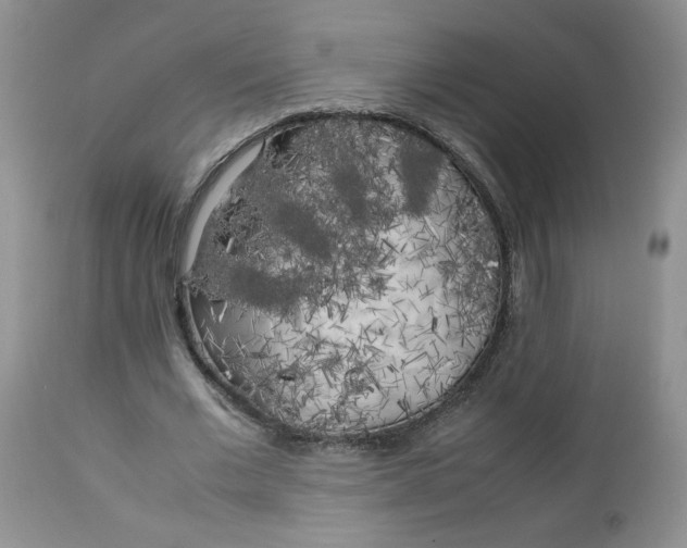 X0000112750677200909101540