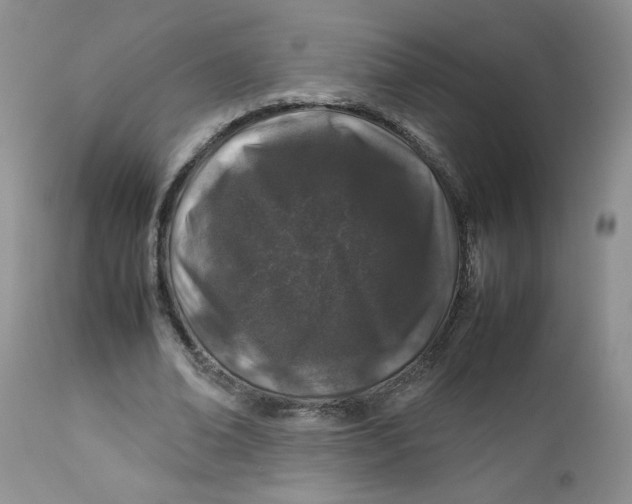 X0000112750678200909101540