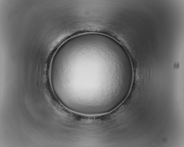 X0000112750679200909101540