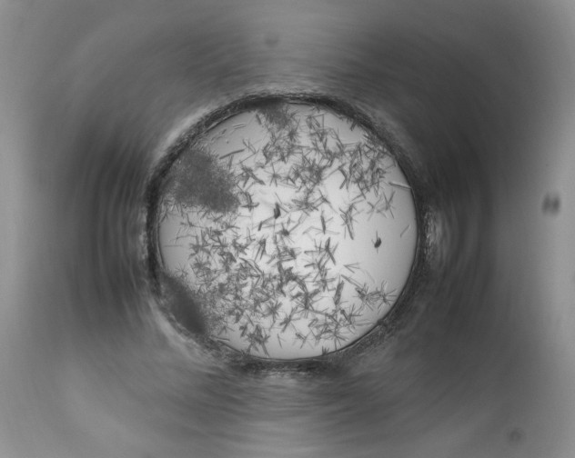 X0000112750684200909101540