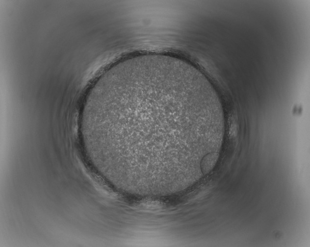 X0000112750685200909101540