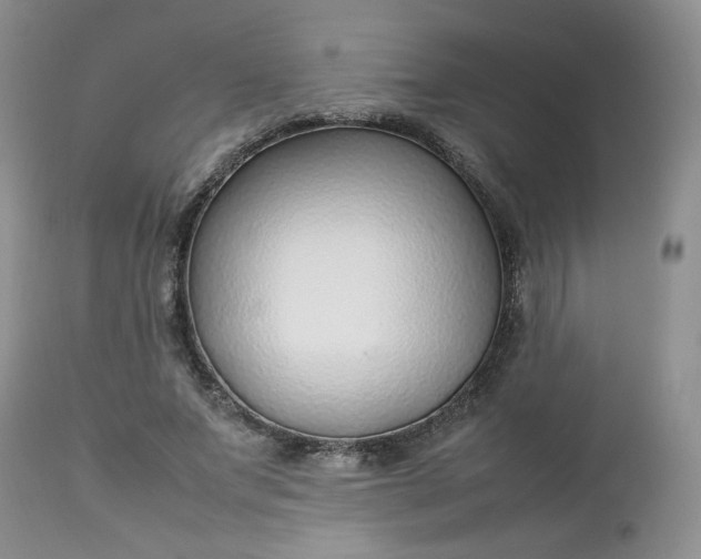 X0000112750687200909101540