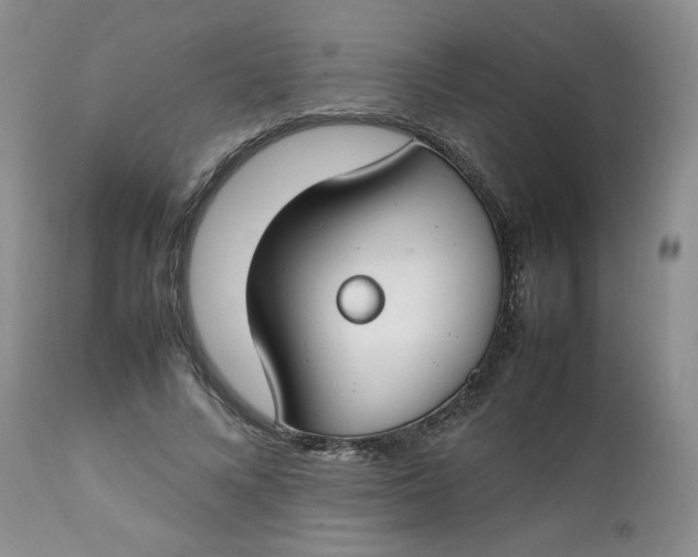 X0000112750688200909101540