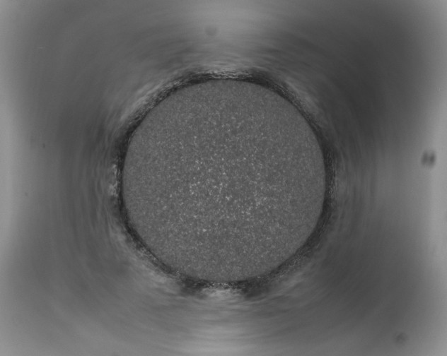 X0000112750689200909101540