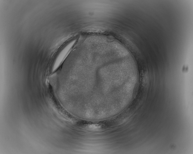 X0000112750692200909101540