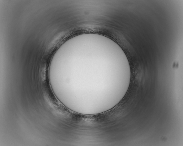 X0000112750694200909101540