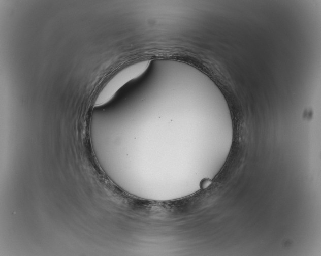 X0000112750697200909101540