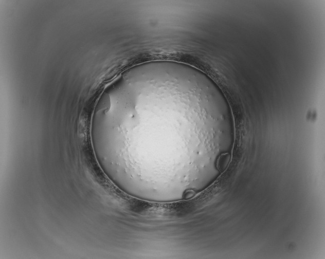 X0000112750699200909101540