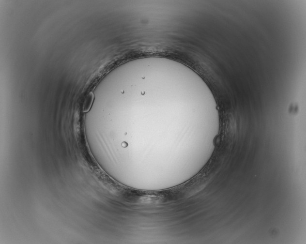 X0000112750700200909101540