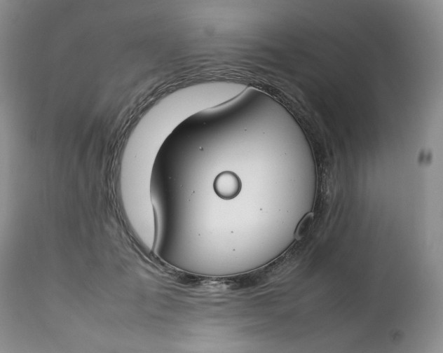 X0000112750701200909101540