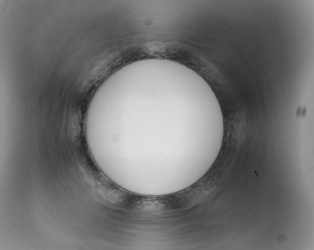 X0000112750702200909101540