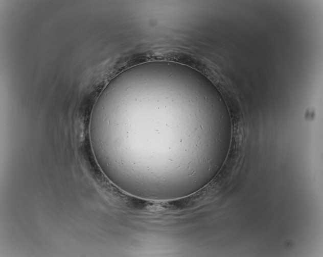 X0000112750703200909101540