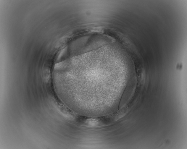 X0000112750704200909101540