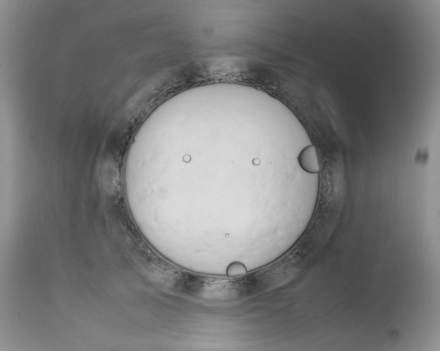 X0000112750705200909101540