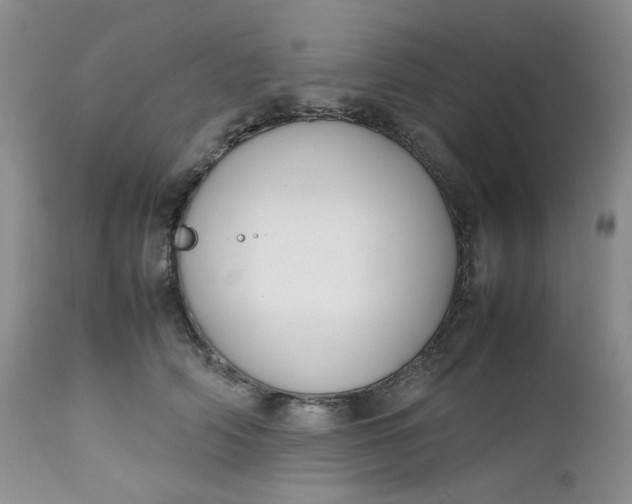 X0000112750706200909101540