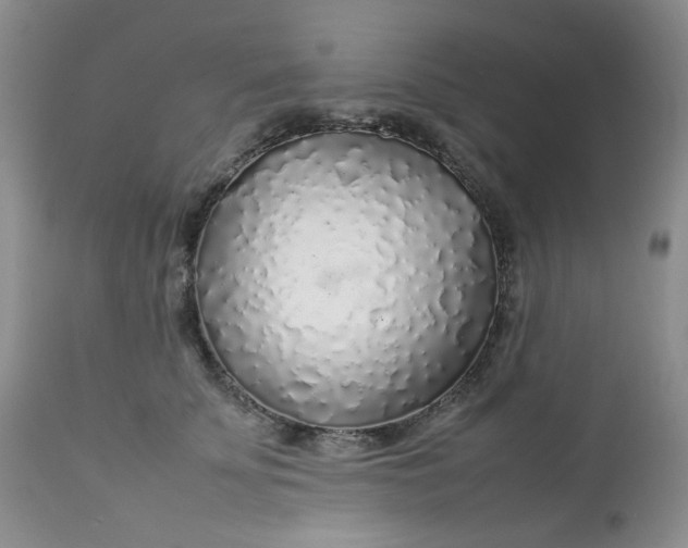 X0000112750707200909101540