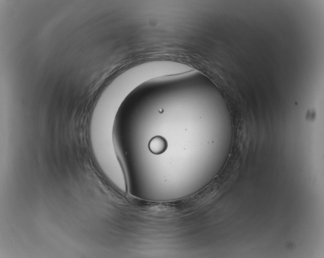 X0000112750708200909101540