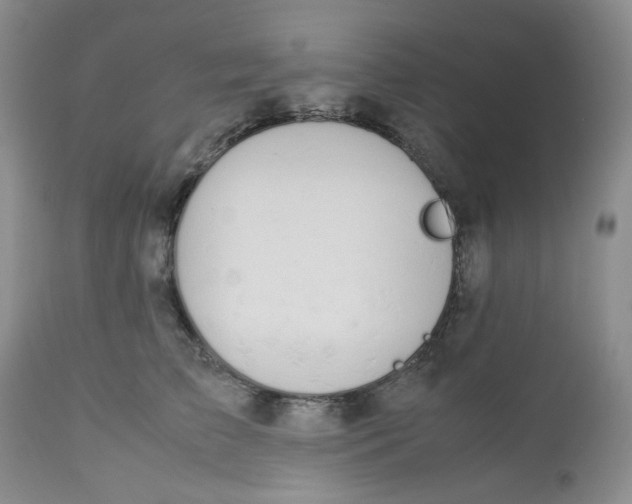 X0000112750709200909101540